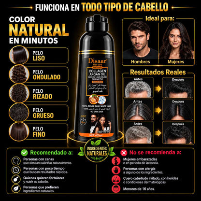 Shampoo Pinta Canas Disaar