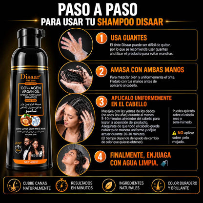 Shampoo Pinta Canas Disaar